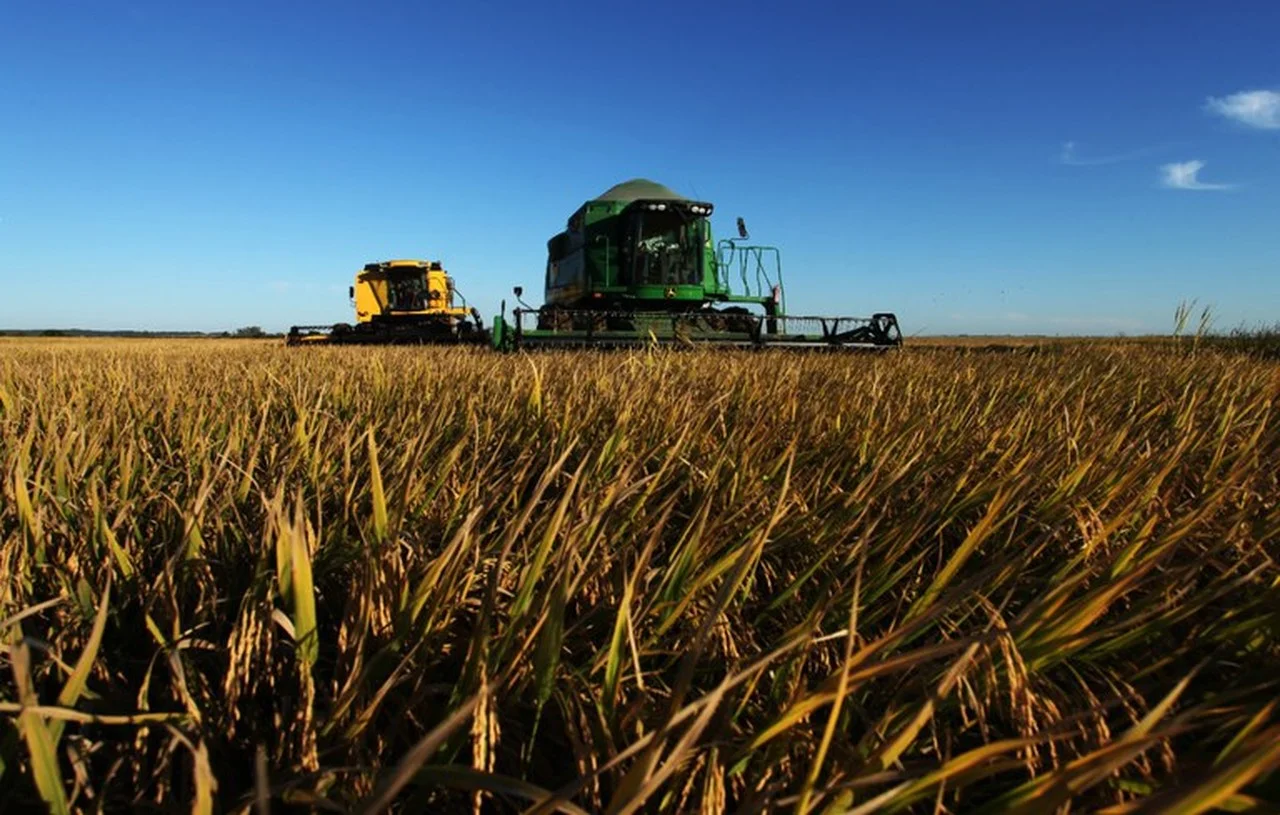 Projetos agropecuários no Paraná são premiados pelo Mapa por inovação