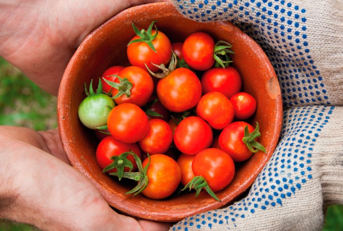 Recomendações estão sendo estudadas pela Exchange 4 Change Brasil a pedido da Embaixada do Reino dos Países Baixos para alavancar oportunidades de negócios Holanda-Brasil