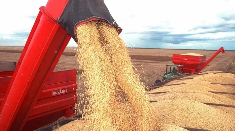 Safra brasileira de grãos 2021/22 atinge recorde: 271,2 milhões de toneladas 10 safra brasileira de graos 2021 22 atinge recorde 2712 milhoes de toneladas