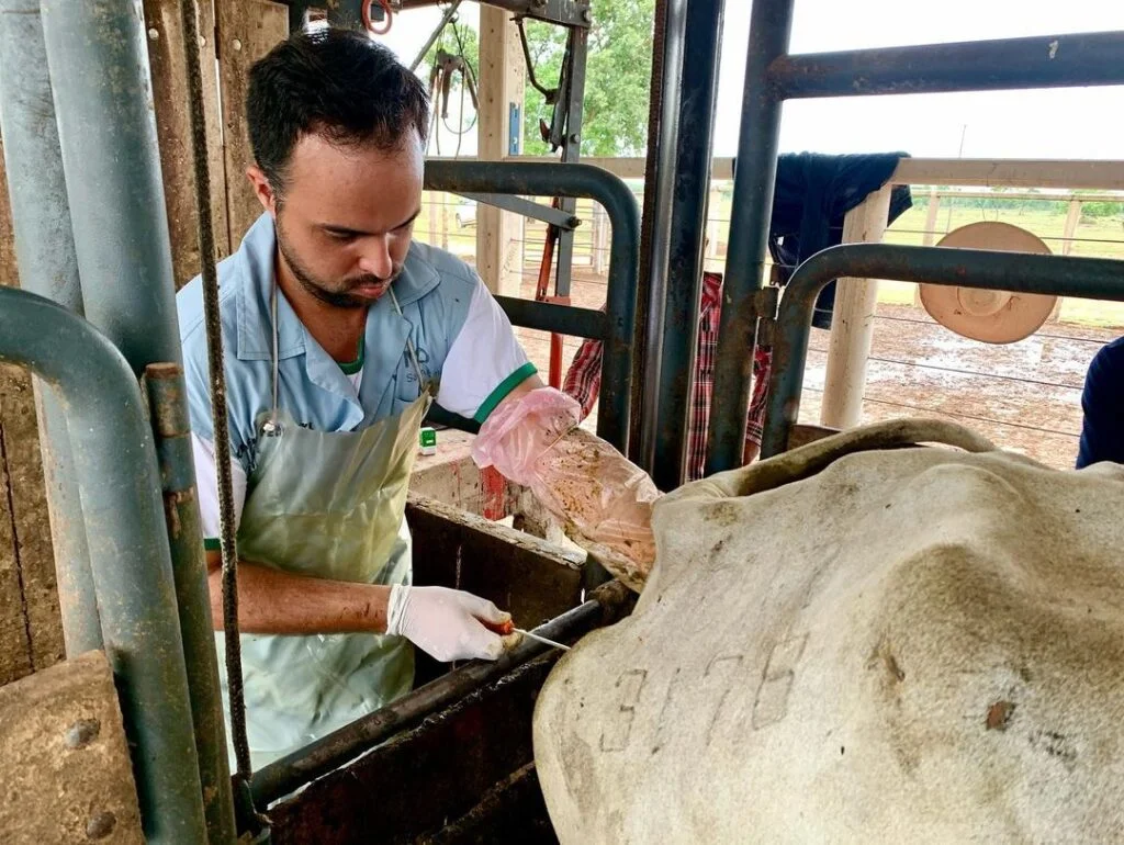 TOP 6 dicas para transformar os resultados da sua época de reprodução 20 CompreRural.com