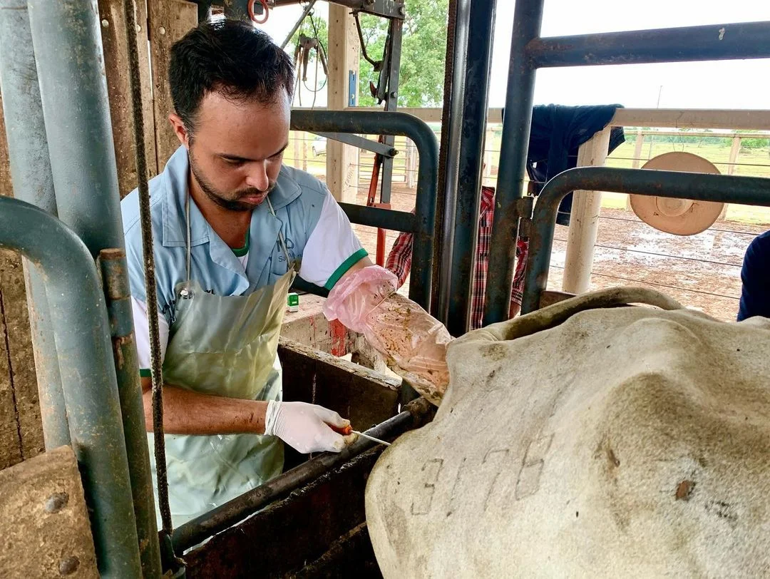 TOP 6 dicas para transformar os resultados da sua época de reprodução 12 CompreRural.com