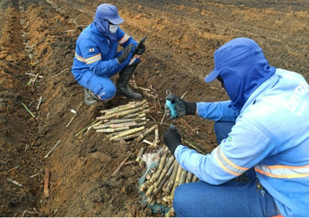 transformacao digital saiba como a usina bevap atingiu recorde 1