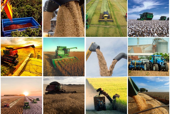 Valor da produção bate recorde, mas safra de 2021 não supera o ano anterior 13 Valor da produção do MT ultrapassa R$ 151 bilhões e é o maior do país