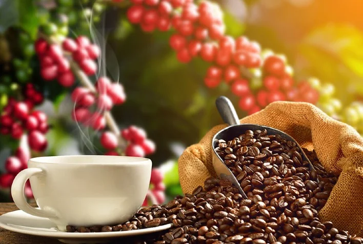 Volatilidade do café em NY traz cautela e lentidão no Brasil 2 volatilidade do cafe em ny traz cautela e lentidao no brasil