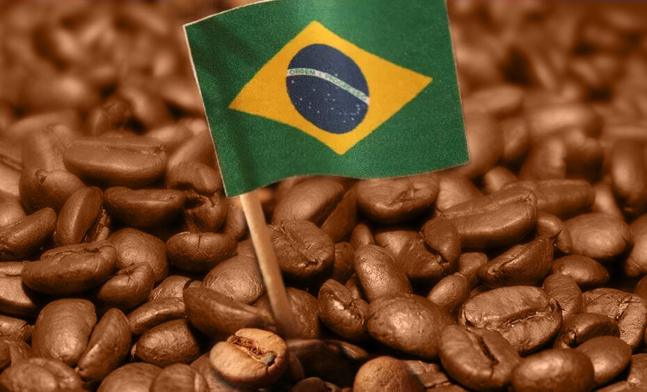 Safra de café deve atingir 50 milhões de sacas em 2022
