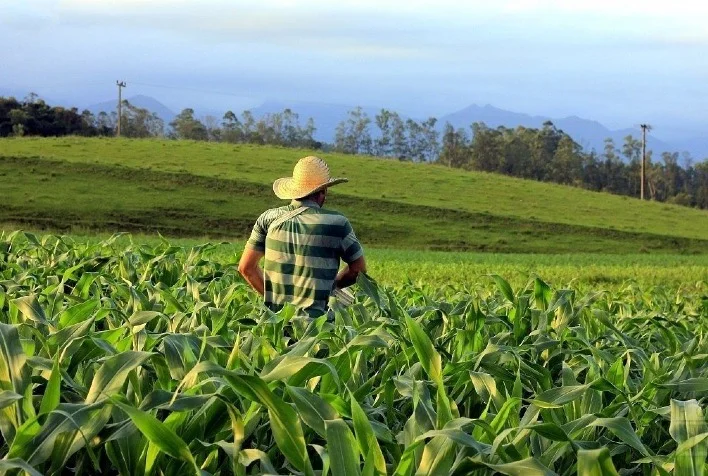 17 10 dia da agricultura tecnologias ajudam a reduzir custos e trazem inclusao financeira ao campo