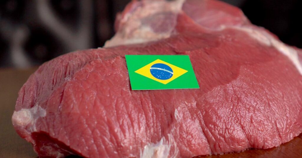 Conhecendo a carne produzida pela pecuaria brasileira • Portal DBO