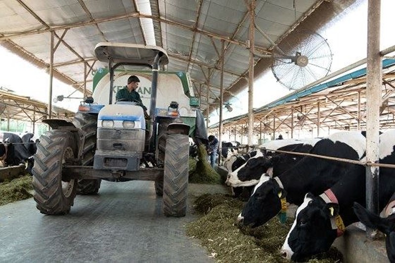 Maior produtor de leite do mundo chega a 199 milhoes