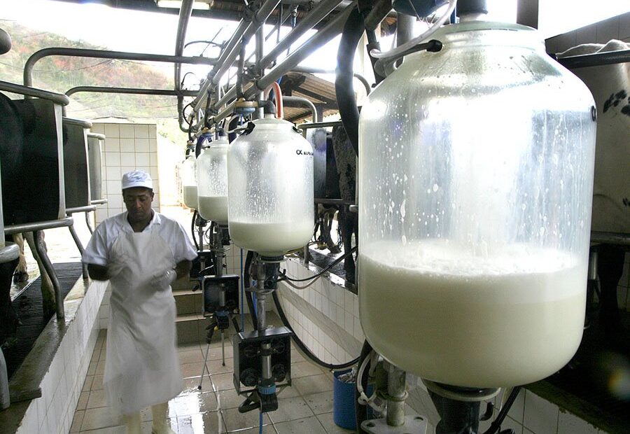 leite - propriedades leiteiras