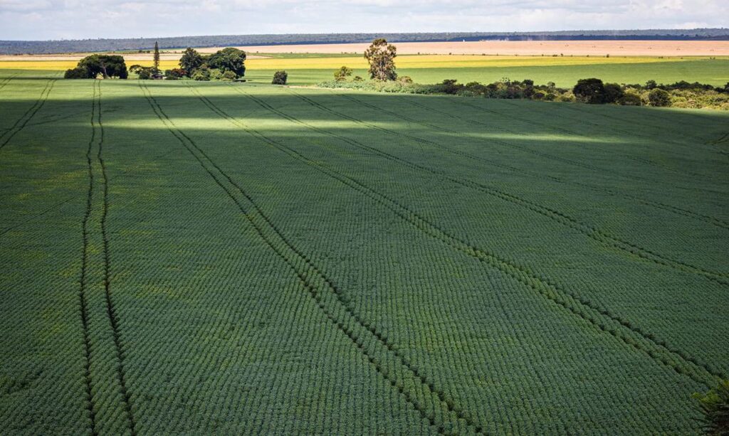 Sustentabilidade da agricultura brasileira sera levada a COP27