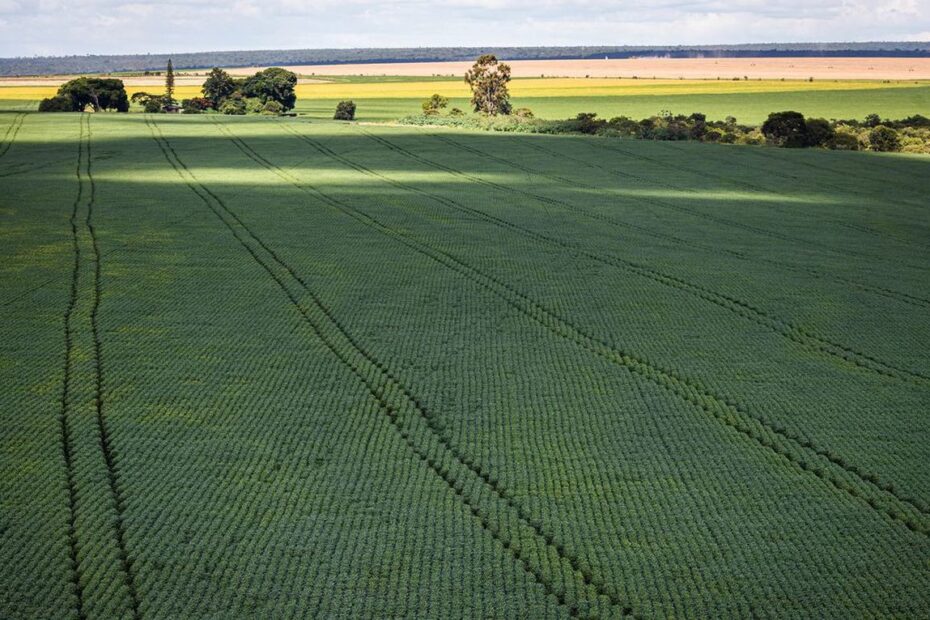 Sustentabilidade da agricultura brasileira sera levada a COP27