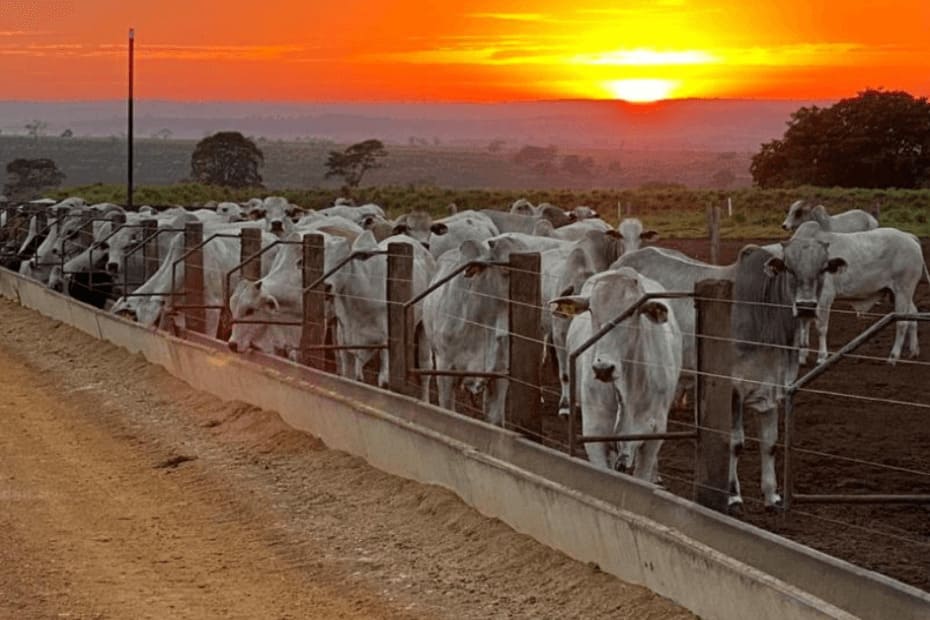 a r 300 so no retrovisor