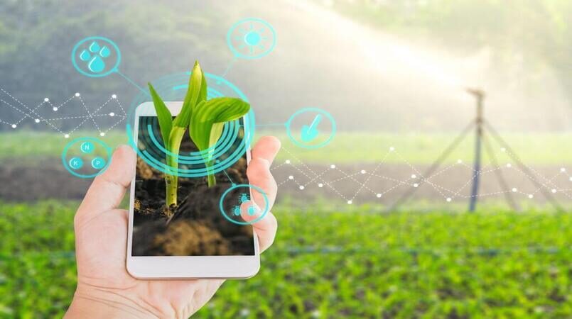agricultura abre inscricoes para selecao de startups do agro no nordeste