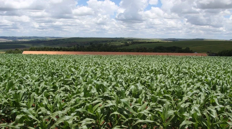 Agricultura triplica área cultivada no Brasil em 37 anos 5 Área com plantio de grãos cresce 20% em Rondônia