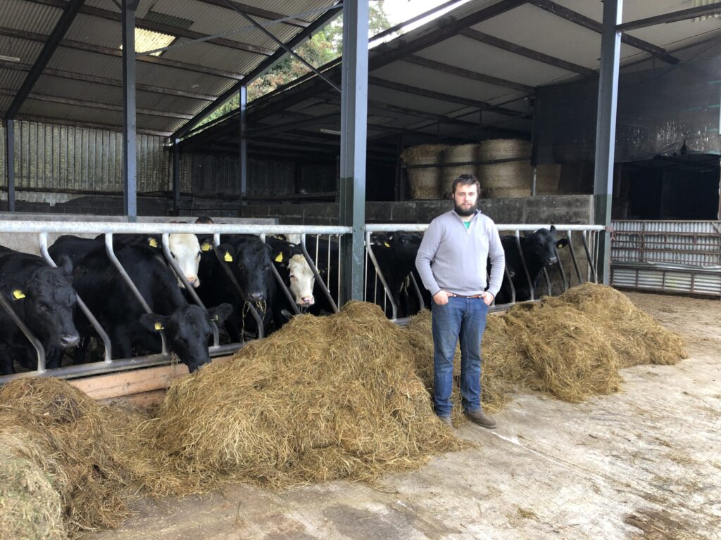 como este jovem finalizador de carne bovina esta garantindo 20c kg acima do preco de mercado