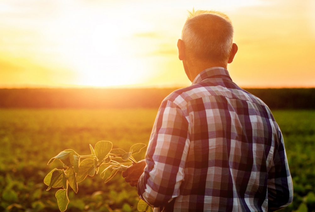 Como se aposentar como trabalhador rural
