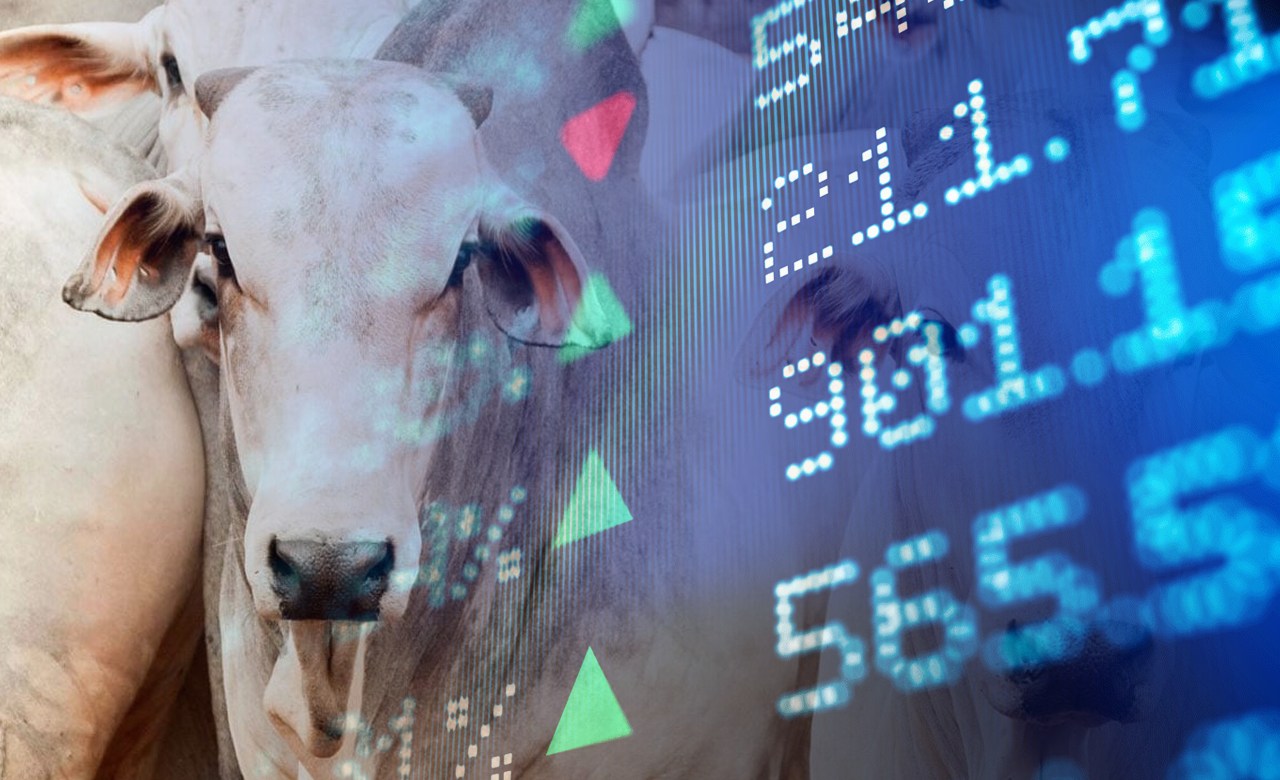 Como setor, Fiagros cresce freneticamente em 2022