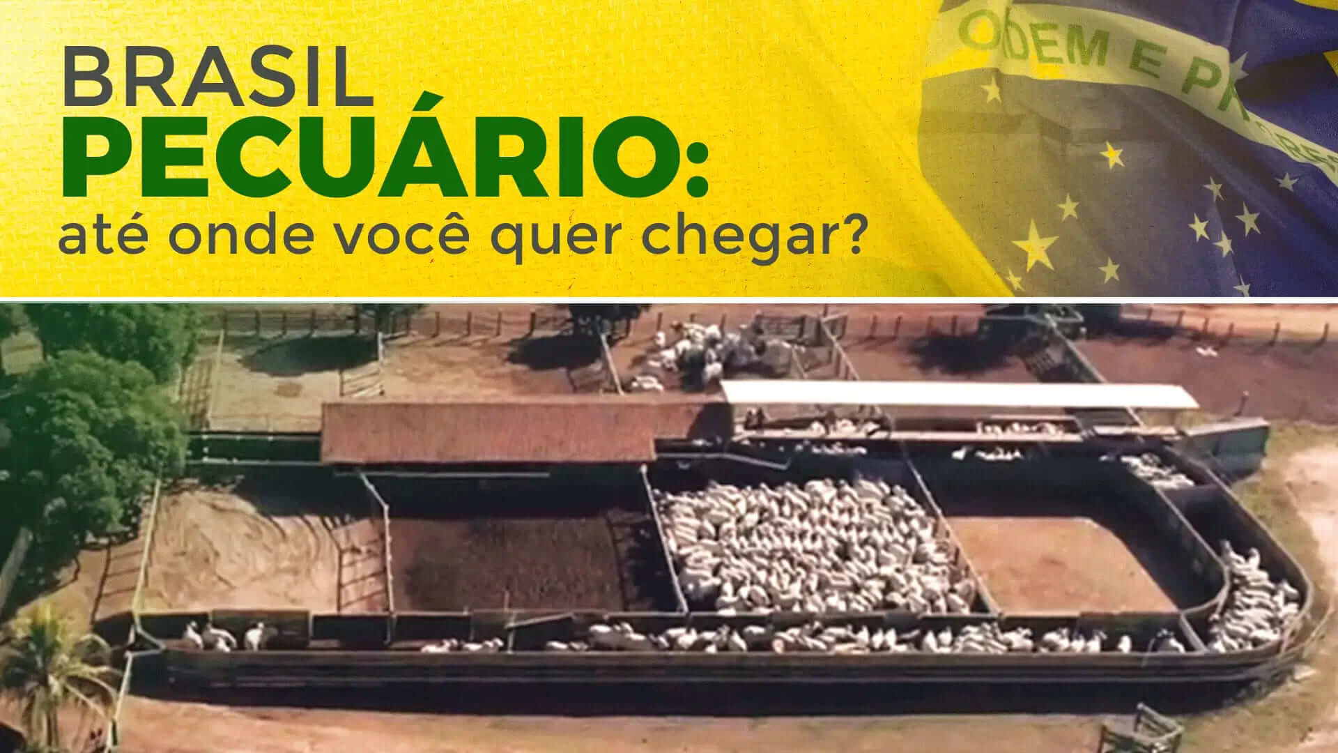 desafios e oportunidades para a pecuaria brasileira