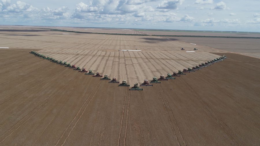 Dia da Agricultura é comemorado com avanços e muita tecnologia