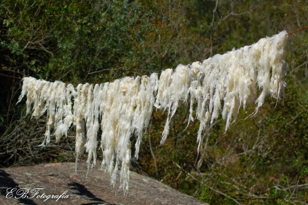 emater vai discutir artesanato em la e juventude rural 1