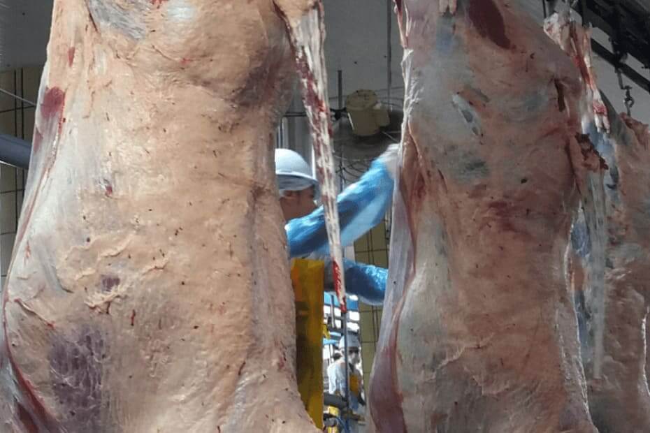 Especulação baixista ganha força com grande parte dos frigoríficos exportadores ausentes dos negócios • Portal DBO