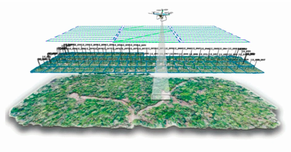 Geotecnologias vão fortalecer a gestão florestal na Amazônia • Portal DBO 10 geotecnologias vao fortalecer a gestao florestal na amazonia portal dbo