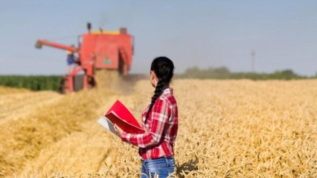 “Sua vida acabou”, ouviu a mulher que economiza R$ 217 bilhões do agronegócio