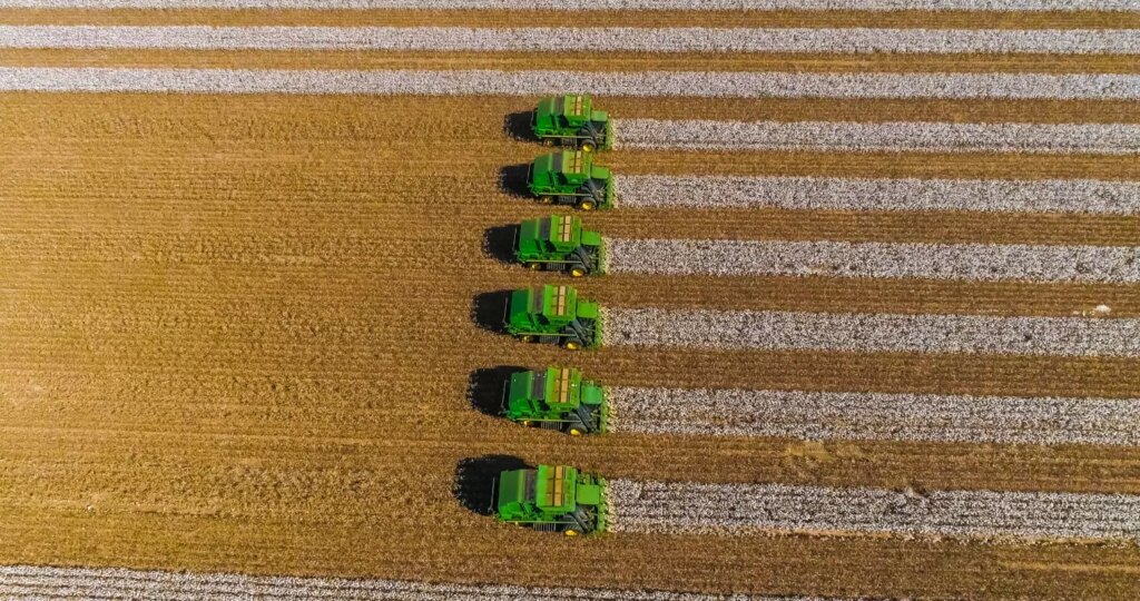 inteligencia artificial pode revolucionar o campo diz especialista 1