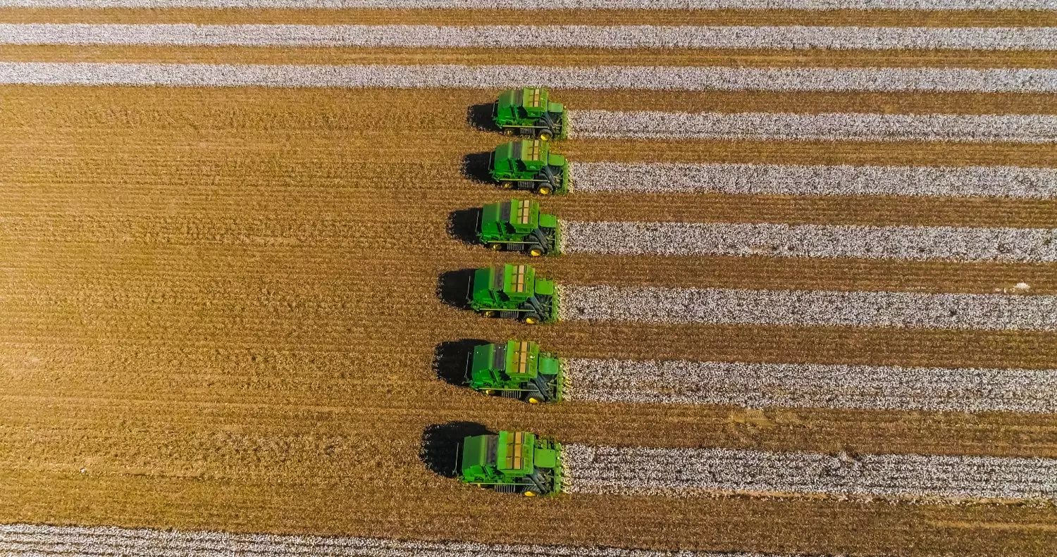 inteligencia artificial pode revolucionar o campo diz especialista 1