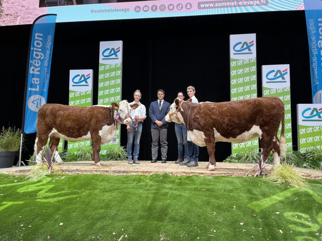 Irlanda sediará próxima Conferência Europeia da Raça Hereford 17 irlanda sediara proxima conferencia europeia da raca hereford 1