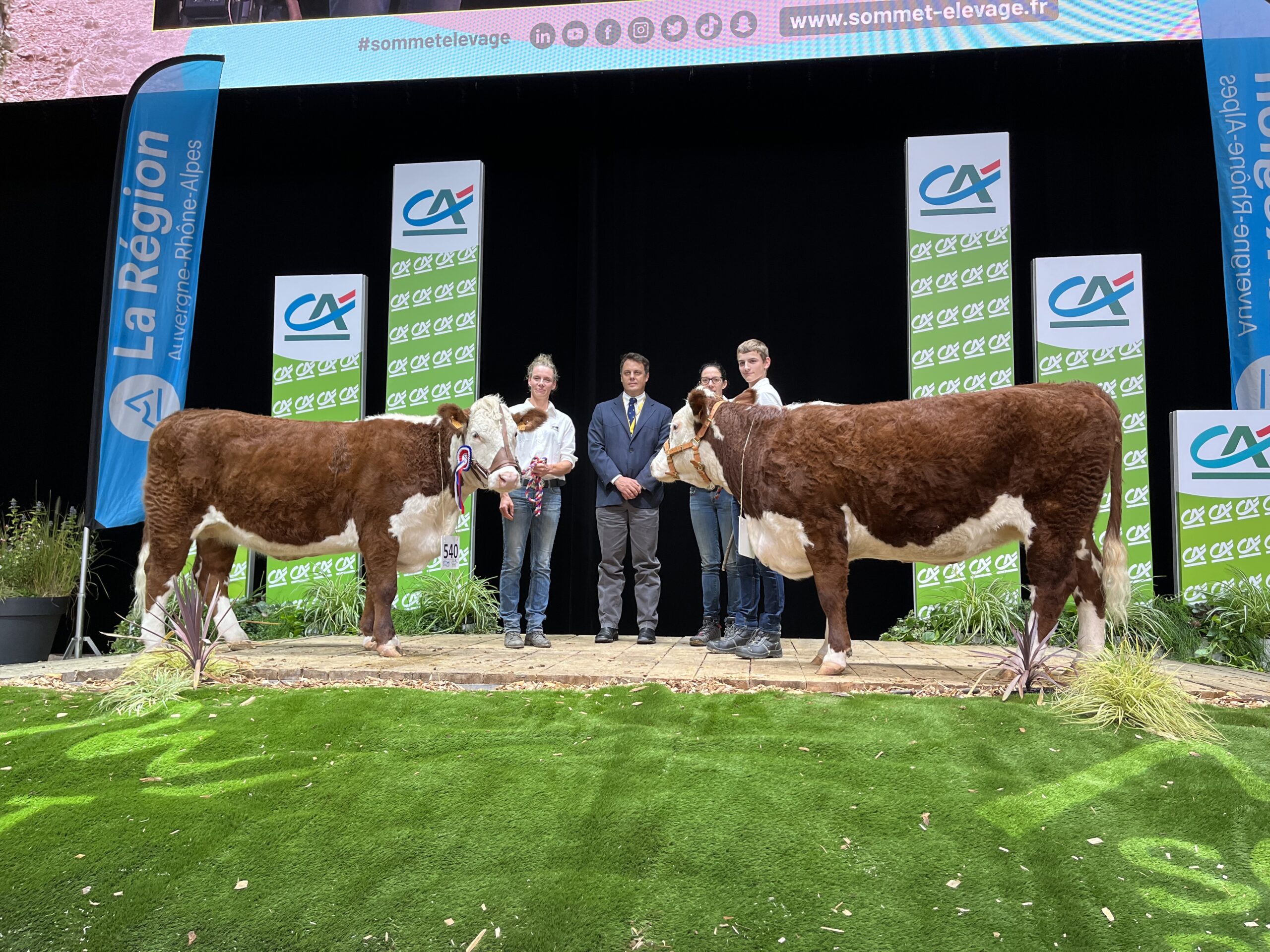 Irlanda sediará próxima Conferência Europeia da Raça Hereford