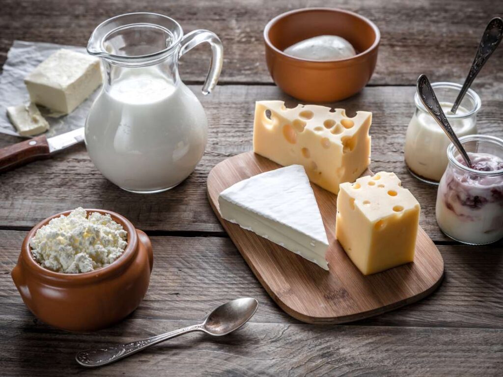 Micotoxinas no leite e produtos lácteos