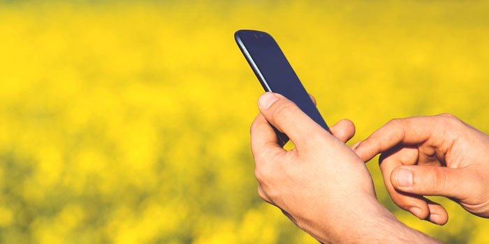 Mapa abre inscrições para seleção de startups do agro no Nordeste