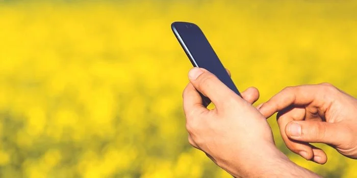 Mapa abre inscrições para seleção de startups do agro no Nordeste 10 mapa abre inscricoes para selecao de startups do agro no nordeste