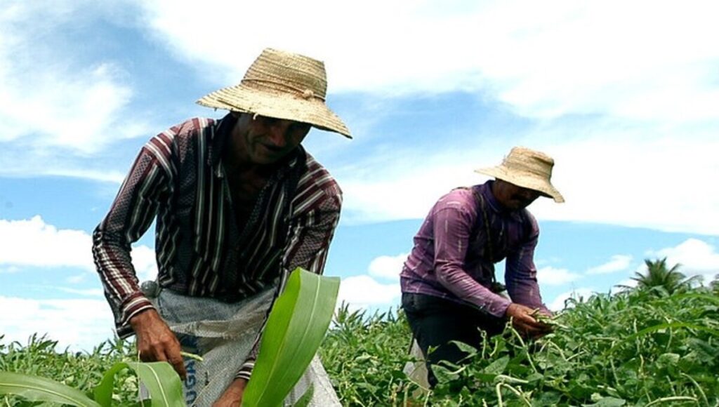 Mão de obra qualificada ainda é um desafio para a agricultura brasileira