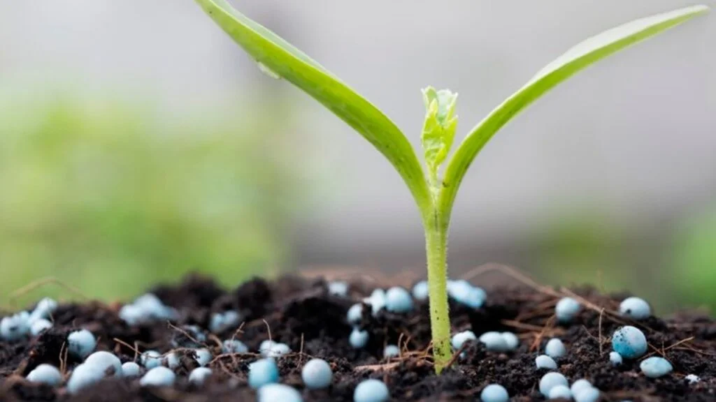 Megatendências do Agronegócio, de Décio Luiz Gazzoni e Elísio Contini 3 megatendencias do agronegocio de decio luiz gazzoni e elisio contini 1