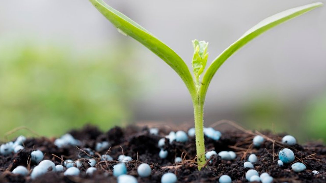Megatendências do Agronegócio, de Décio Luiz Gazzoni e Elísio Contini