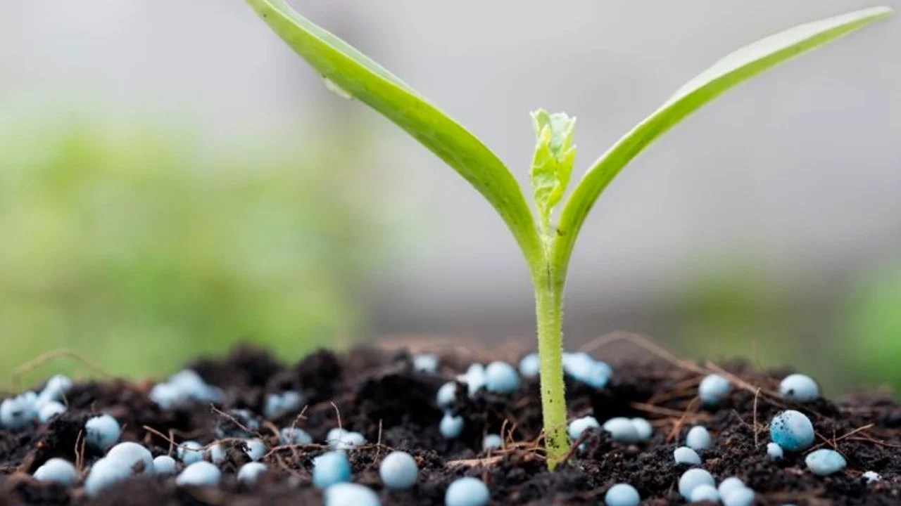 megatendencias do agronegocio de decio luiz gazzoni e elisio contini 1