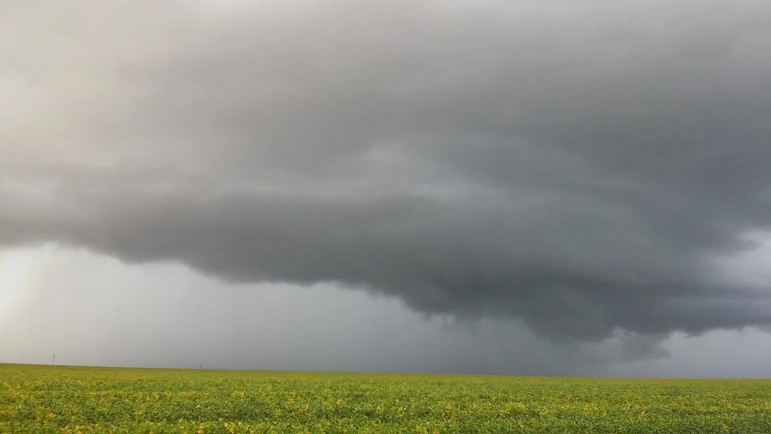 Mudanças climáticas preocupa 72% dos produtores de soja 12 mudancas climaticas preocupa 72 dos produtores de soja