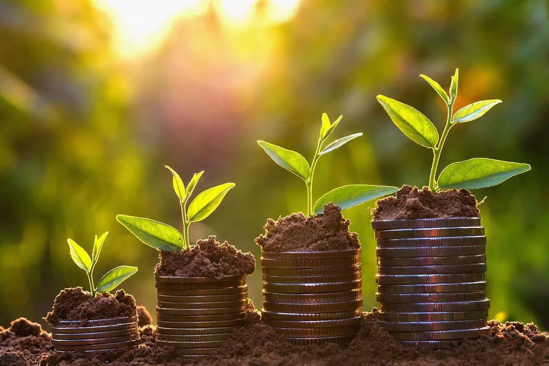 Na Bahia, Mapa apresenta resultados da AgroNordeste para diversas cadeias produtivas