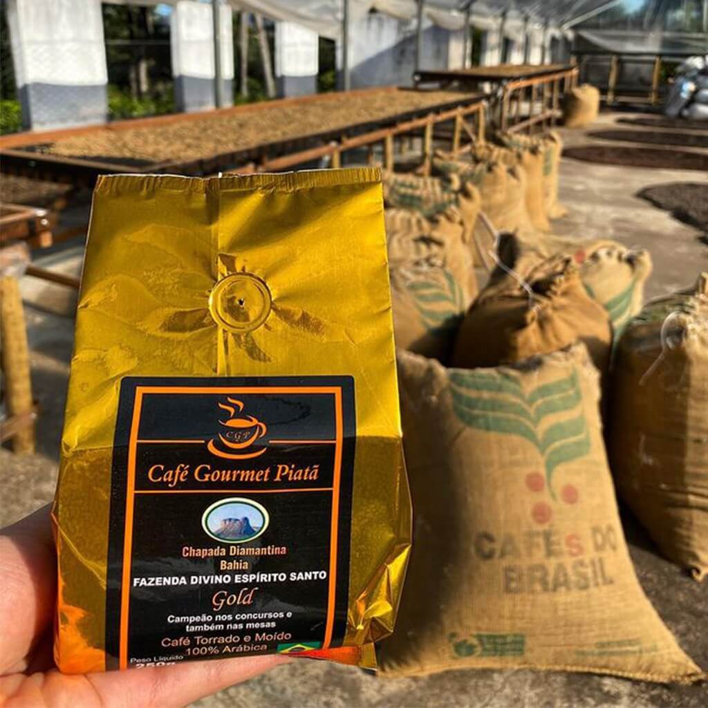 piata ba volta a produzir o melhor cafe especial do brasil