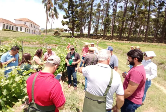 Produtores da Zona da Mata visitam vinícolas em Caldas e Andradas 9 produtores da zona da mata visitam vinicolas em caldas e andradas