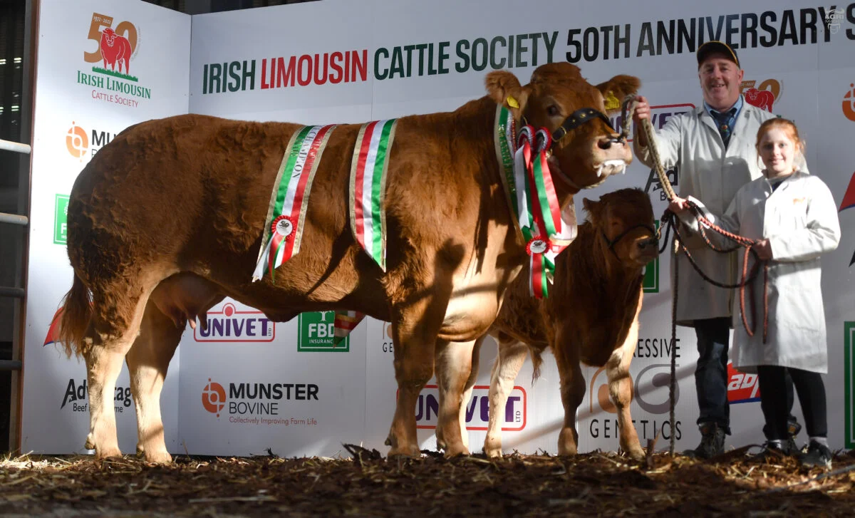 show e venda do 50o aniversario da limousin society 1