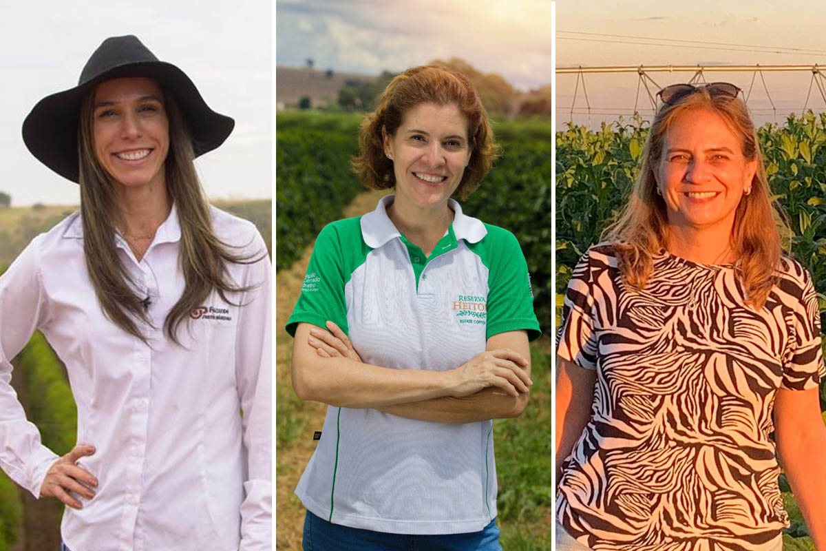 sustentabilidade e o diferencial entre os vencedores do premio mulheres do agro 2022