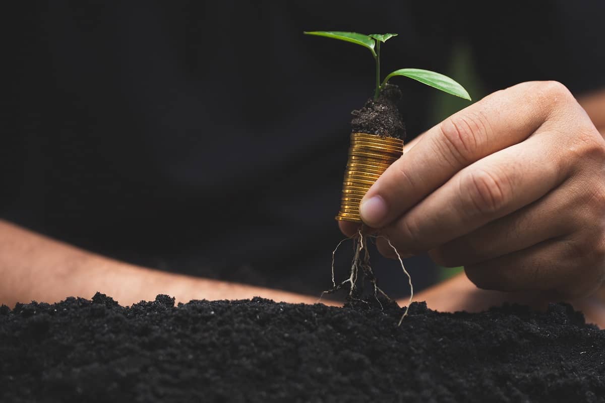 Crédito agrícola, tendência ou desafio?