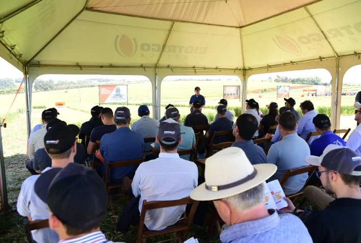 Trigo com maior produtividade e estabilidade são agenda do dia de campo 17 trigo com maior produtividade e estabilidade sao agenda do dia de campo