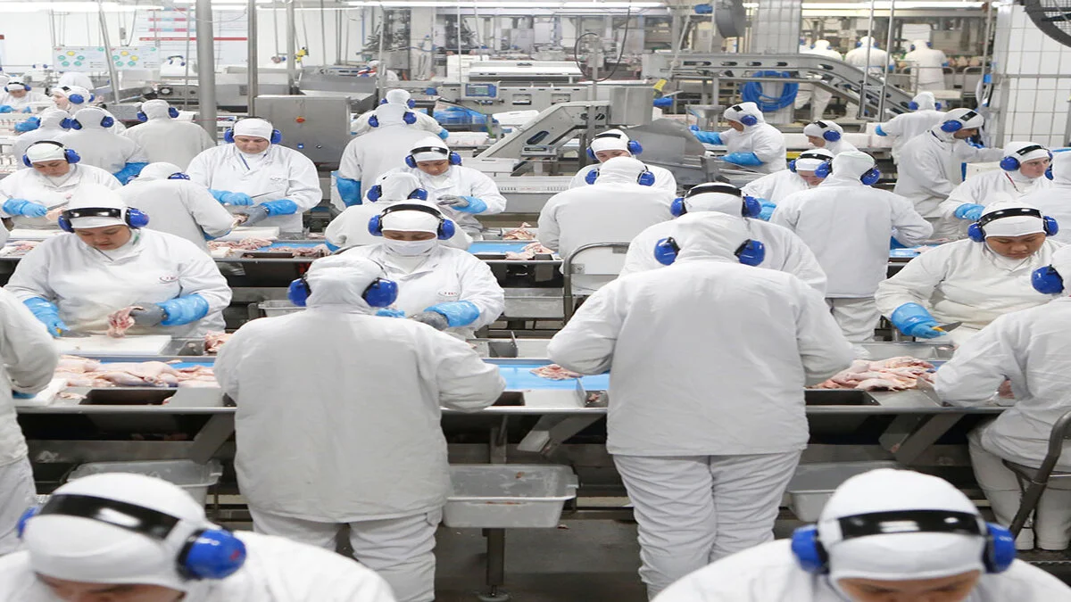 veja quantos confinamentos a jbs tem pelo mundo