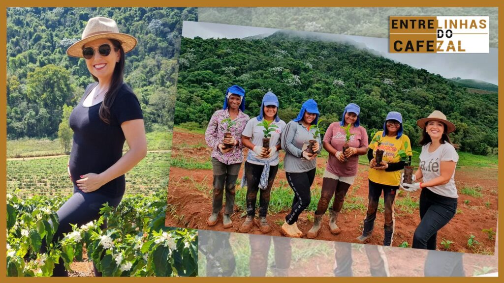 Vida gerando vida e cafeicultura gerando vida social e... 37 vida gerando vida e cafeicultura gerando vida social e 1