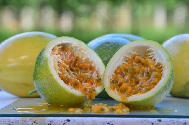 Vírus impõe novo sistema de manejo do maracujá 8 Maracujá