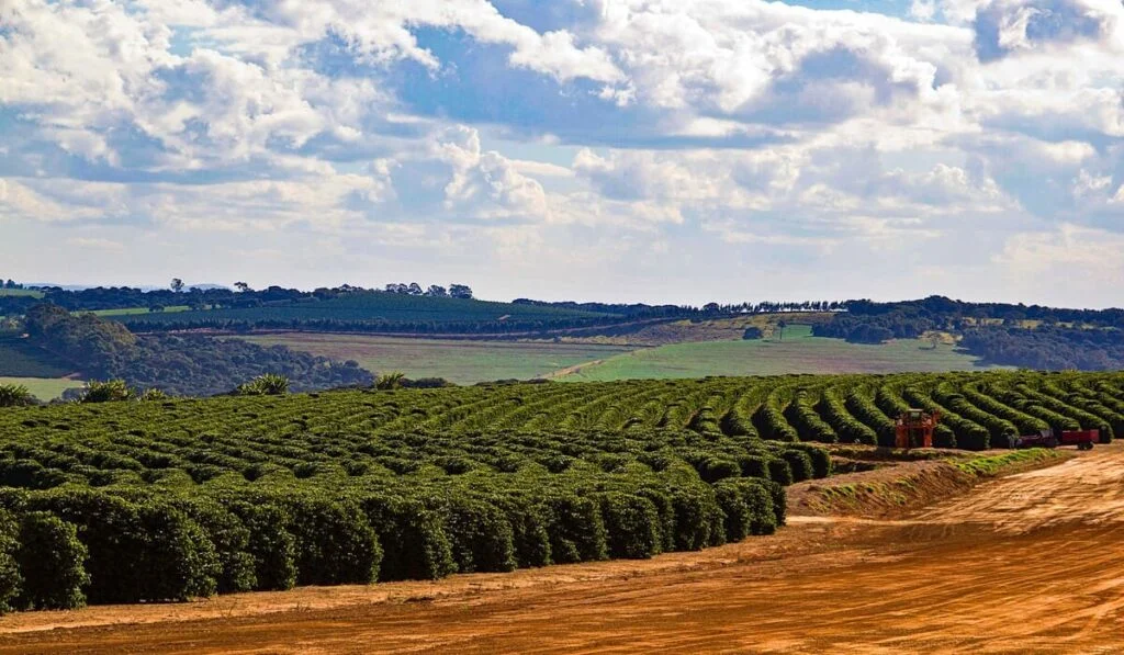 3 mil fazendas fechadas por regras do clima